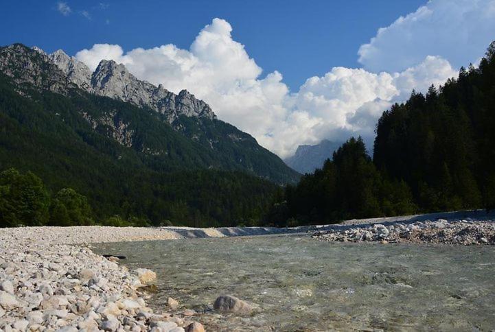 Rooms Barovc By The Lake Jasna クランスカゴーラ エクステリア 写真 The river in the park